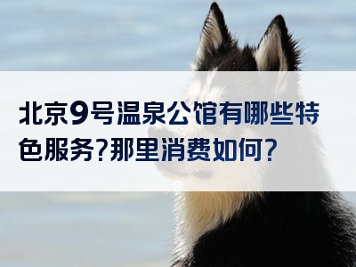 北京9号温泉公馆有哪些特色服务？那里消费如何？