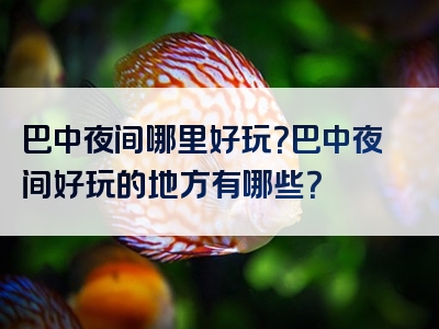 巴中夜间哪里好玩？巴中夜间好玩的地方有哪些？
