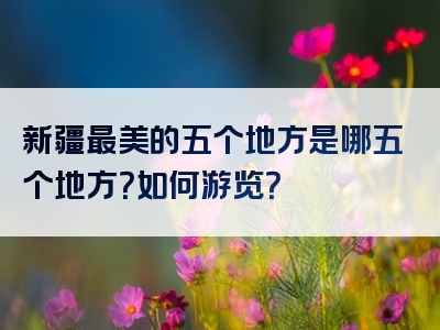 新疆最美的五个地方是哪五个地方？如何游览？
