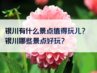 银川有什么景点值得玩儿？银川哪些景点好玩？