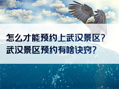 怎么才能预约上武汉景区？武汉景区预约有啥诀窍？