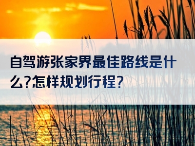 自驾游张家界最佳路线是什么？怎样规划行程？