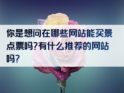 你是想问在哪些网站能买景点票吗？有什么推荐的网站吗？