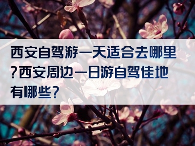 西安自驾游一天适合去哪里？西安周边一日游自驾佳地有哪些？