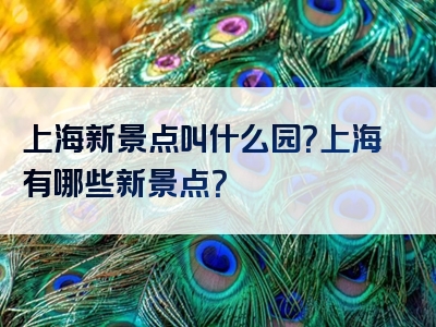 上海新景点叫什么园？上海有哪些新景点？