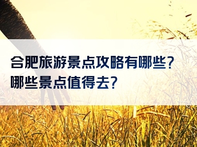 合肥旅游景点攻略有哪些？哪些景点值得去？