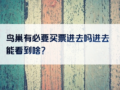 鸟巢有必要买票进去吗进去能看到啥？