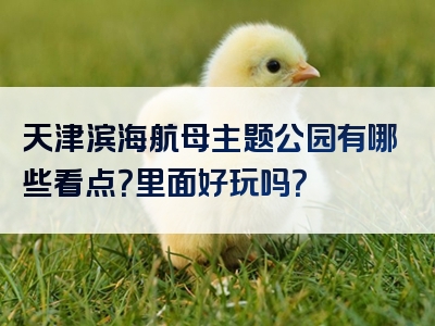 天津滨海航母主题公园有哪些看点？里面好玩吗？