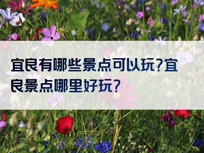 宜良有哪些景点可以玩？宜良景点哪里好玩？