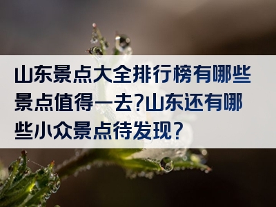山东景点大全排行榜有哪些景点值得一去？山东还有哪些小众景点待发现？