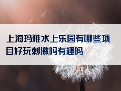 上海玛雅水上乐园有哪些项目好玩刺激吗有趣吗