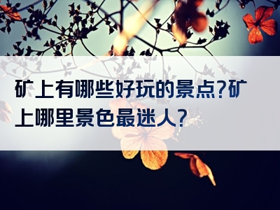 矿上有哪些好玩的景点？矿上哪里景色最迷人？