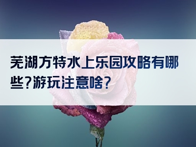 芜湖方特水上乐园攻略有哪些？游玩注意啥？