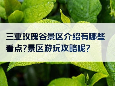 三亚玫瑰谷景区介绍有哪些看点？景区游玩攻略呢？