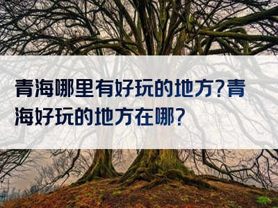 青海哪里有好玩的地方？青海好玩的地方在哪？