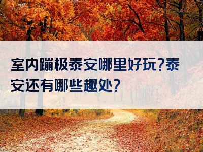 室内蹦极泰安哪里好玩？泰安还有哪些趣处？