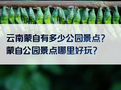 云南蒙自有多少公园景点？蒙自公园景点哪里好玩？