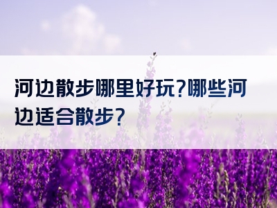河边散步哪里好玩？哪些河边适合散步？
