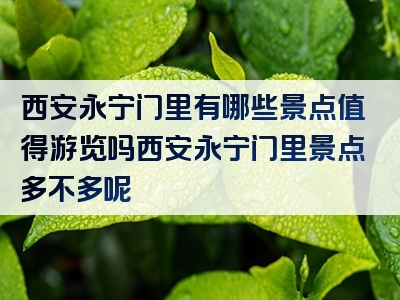 西安永宁门里有哪些景点值得游览吗西安永宁门里景点多不多呢
