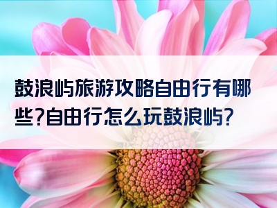 鼓浪屿旅游攻略自由行有哪些？自由行怎么玩鼓浪屿？