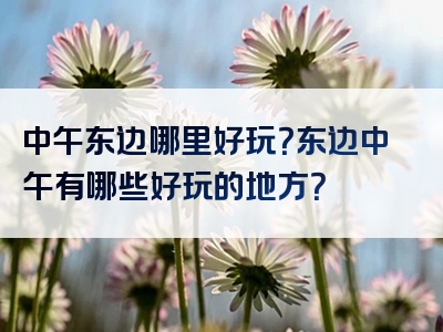 中午东边哪里好玩？东边中午有哪些好玩的地方？