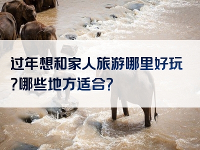 过年想和家人旅游哪里好玩？哪些地方适合？