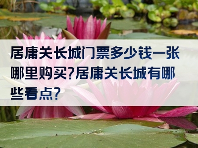 居庸关长城门票多少钱一张哪里购买？居庸关长城有哪些看点？