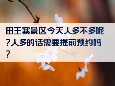 田王寨景区今天人多不多呢？人多的话需要提前预约吗？