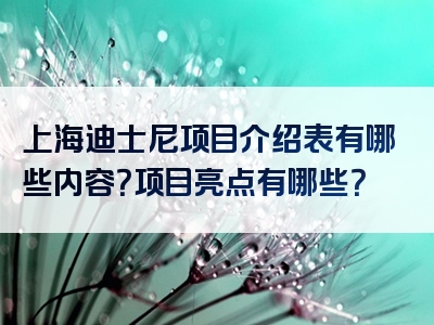 上海迪士尼项目介绍表有哪些内容？项目亮点有哪些？