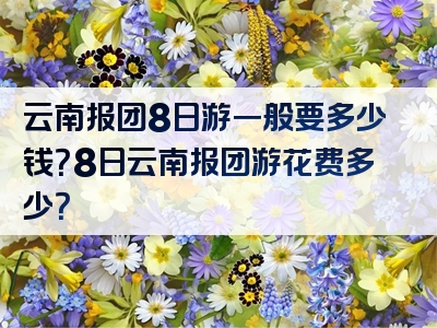 云南报团8日游一般要多少钱？8日云南报团游花费多少？