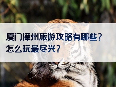厦门漳州旅游攻略有哪些？怎么玩最尽兴？