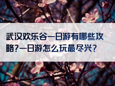 武汉欢乐谷一日游有哪些攻略？一日游怎么玩最尽兴？