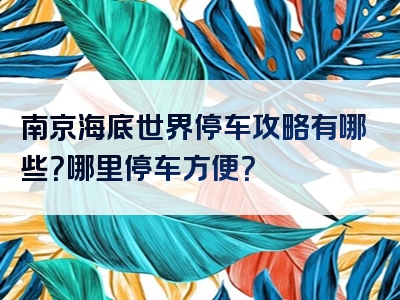 南京海底世界停车攻略有哪些？哪里停车方便？