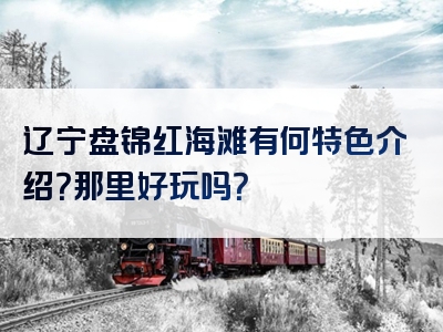 辽宁盘锦红海滩有何特色介绍？那里好玩吗？