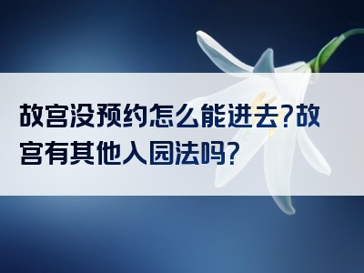 故宫没预约怎么能进去？故宫有其他入园法吗？