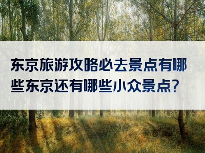 东京旅游攻略必去景点有哪些东京还有哪些小众景点？
