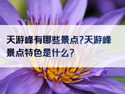 天游峰有哪些景点？天游峰景点特色是什么？