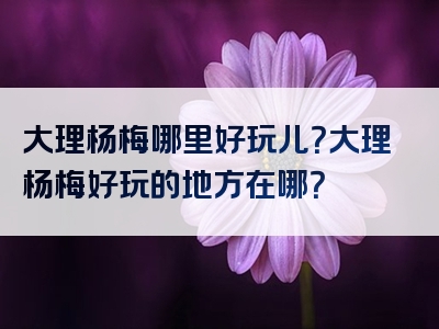 大理杨梅哪里好玩儿？大理杨梅好玩的地方在哪？