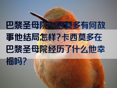 巴黎圣母院卡西莫多有何故事他结局怎样？卡西莫多在巴黎圣母院经历了什么他幸福吗？