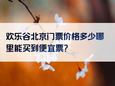 欢乐谷北京门票价格多少哪里能买到便宜票？