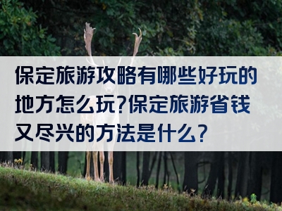 保定旅游攻略有哪些好玩的地方怎么玩？保定旅游省钱又尽兴的方法是什么？