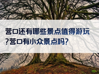 营口还有哪些景点值得游玩？营口有小众景点吗？