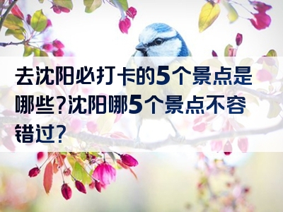 去沈阳必打卡的5个景点是哪些？沈阳哪5个景点不容错过？