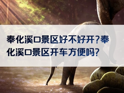 奉化溪口景区好不好开？奉化溪口景区开车方便吗？