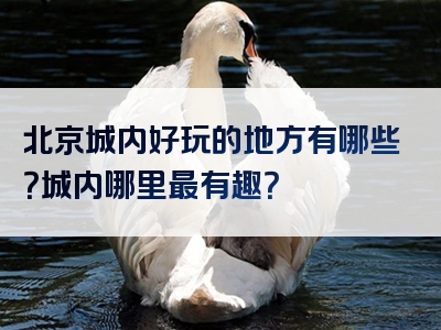 北京城内好玩的地方有哪些？城内哪里最有趣？