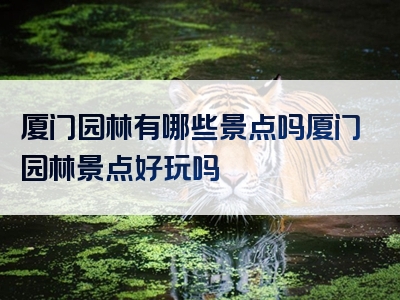 厦门园林有哪些景点吗厦门园林景点好玩吗