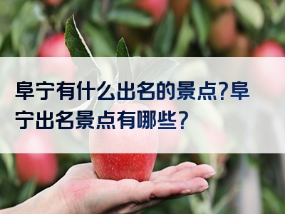 阜宁有什么出名的景点？阜宁出名景点有哪些？