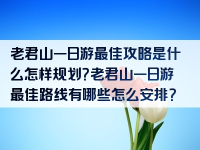 老君山一日游最佳攻略是什么怎样规划？老君山一日游最佳路线有哪些怎么安排？