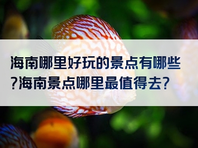 海南哪里好玩的景点有哪些？海南景点哪里最值得去？