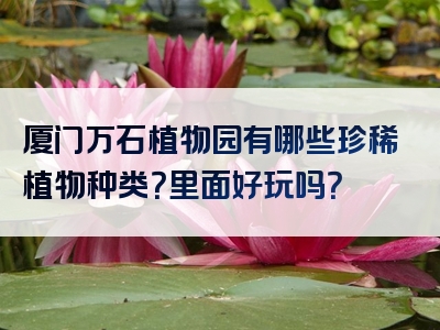 厦门万石植物园有哪些珍稀植物种类？里面好玩吗？